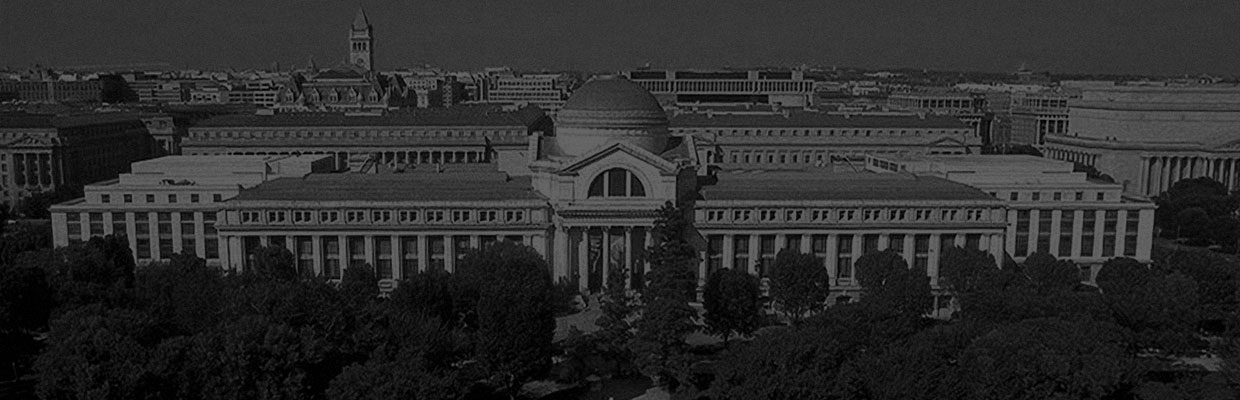 your photo displayed in the world's most visited museum